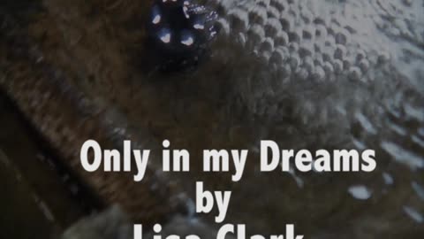 Only in my dreams, by Lisa Clark