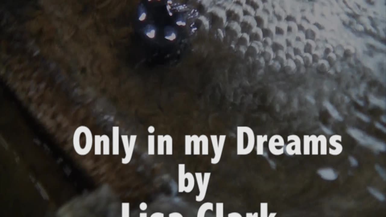 Only in my dreams, by Lisa Clark