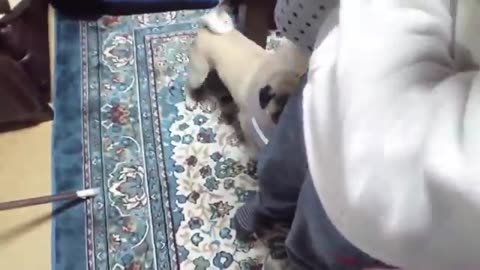 funny video