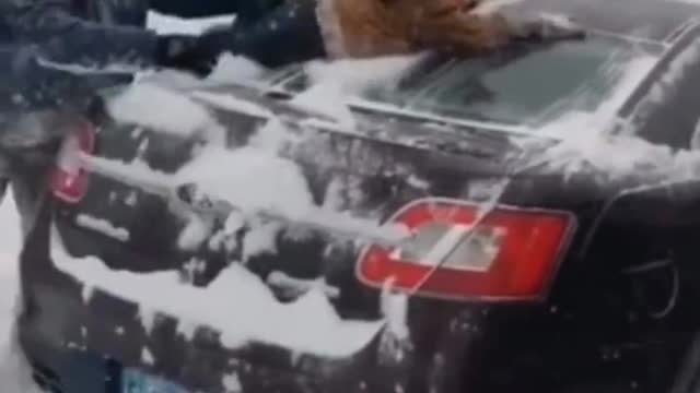 The baby didn't discuss it ~ The old man used his son to remove snow from his car.