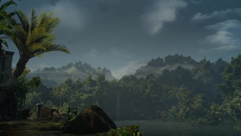 Hitman 3 Wallpaper Engine Forest