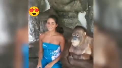 Funny monkey video