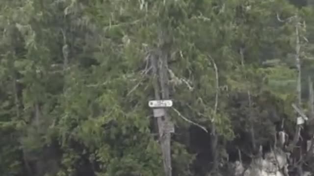 A unique video shows a small island seemingly moving through the waters off Vancouver Island, B.C.