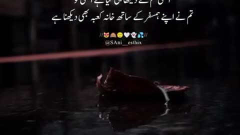 WhatsApp status
