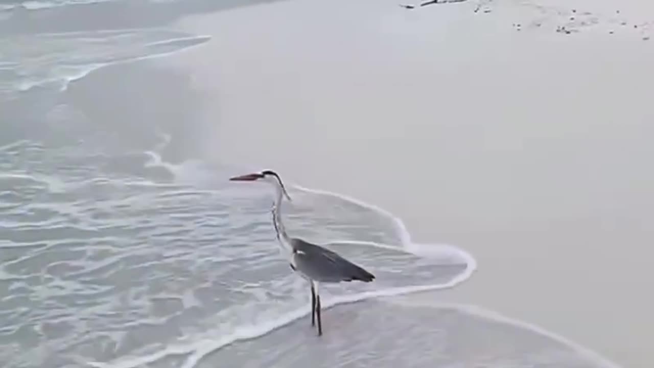 Healing Time 😍 🤣 😌