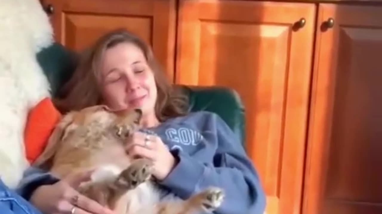Animals Fails Worst