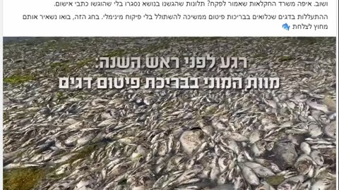 מוות המוני בבריכות פיטום הדגים בארץ תלונות שהוגשו למשרד החקלאות בנושא נסגרו בלי שהוגשו כתבי אישום עמותת אנימלס