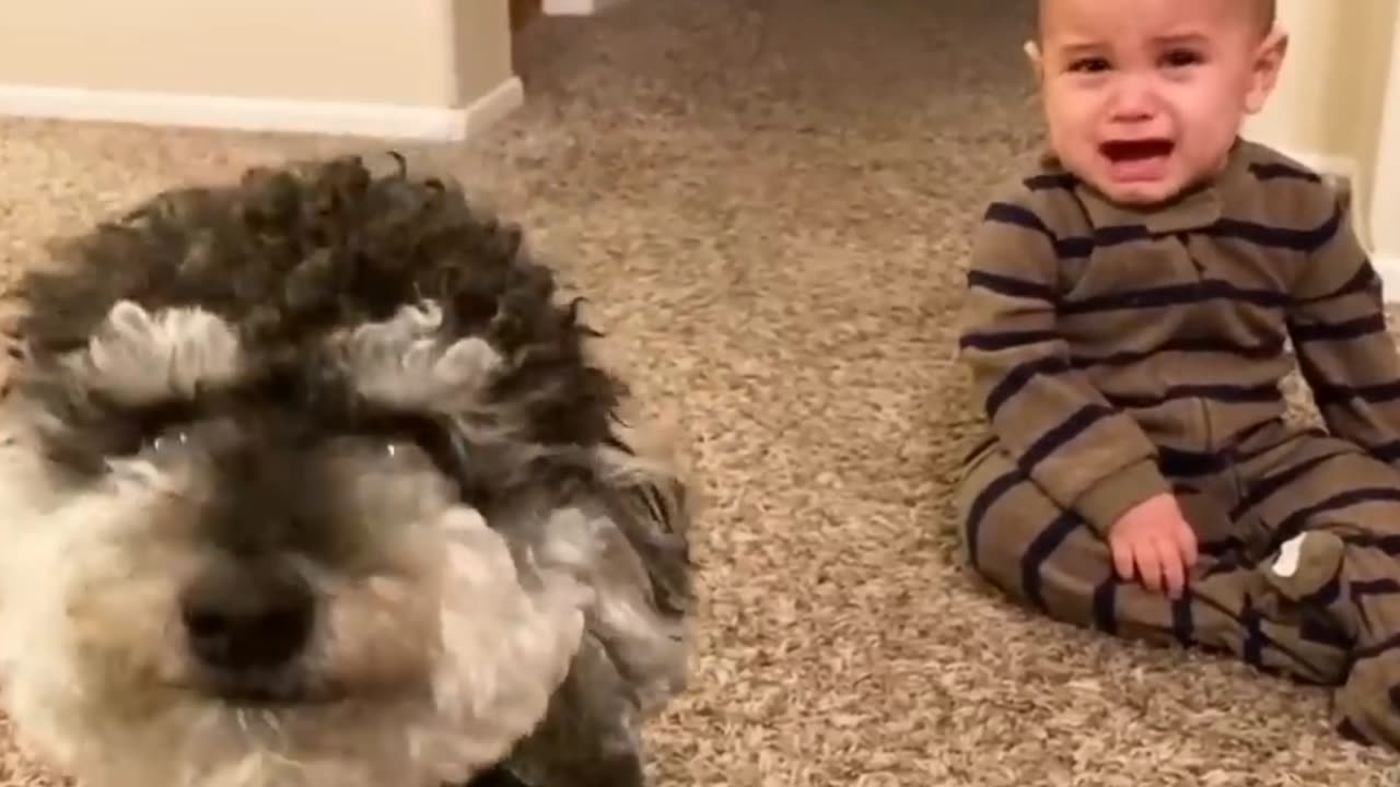 Adorable babies playing with dog