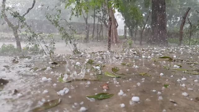 Toronto storm