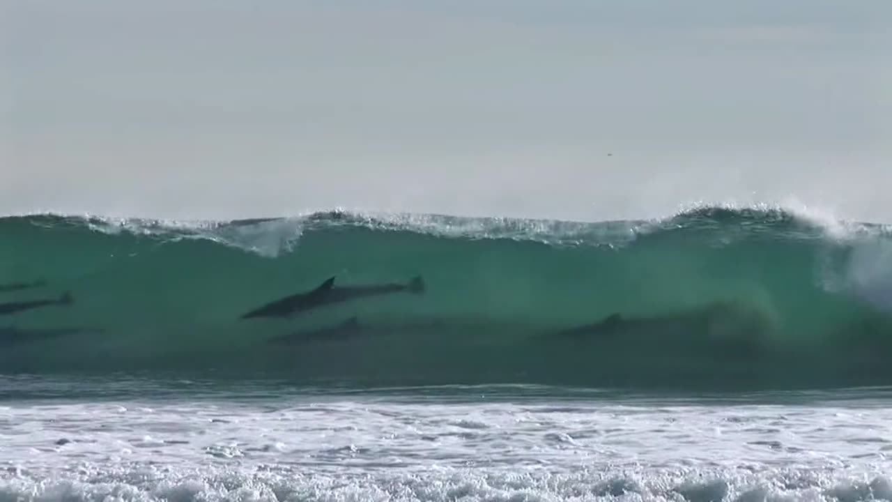 Muito bom o vídeo @