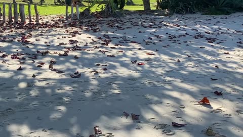 2/19 - Praia do Fayet: O destino perfeito para relaxar em Governador Celso Ramos