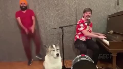 Everyone is dancing 🕺🏻💃