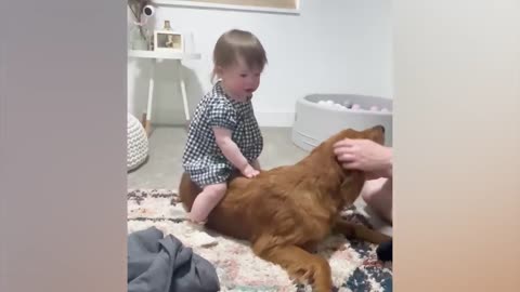 Best video of Cute Babies and Pets - Funny Baby and Pet