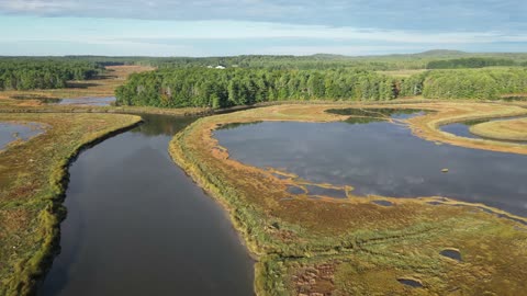 swamp_river_aerial