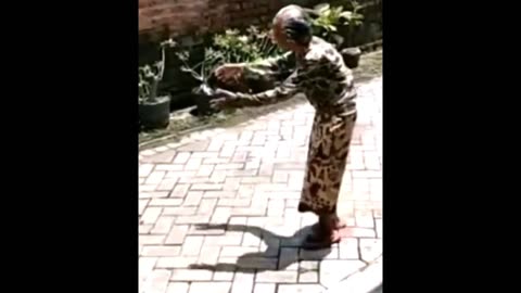 Funny Video #VLSF-5