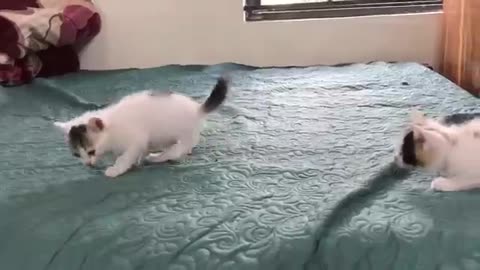 When you love animals, animals love you too