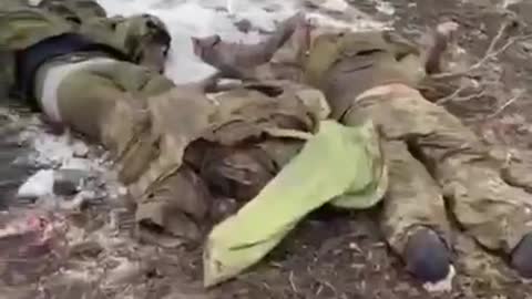 GRAPHIC CONTENT : A new video of dead Ukrainian soldiers have arrived