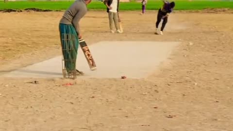 Cricket