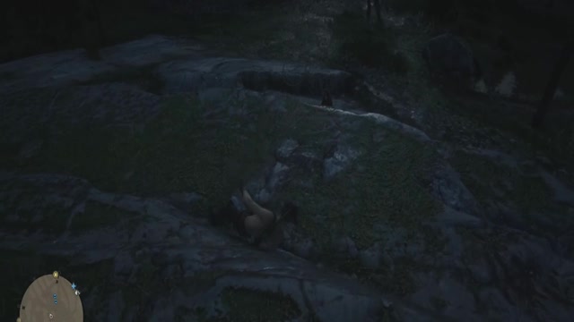 Flying Cowbow Red Dead Online