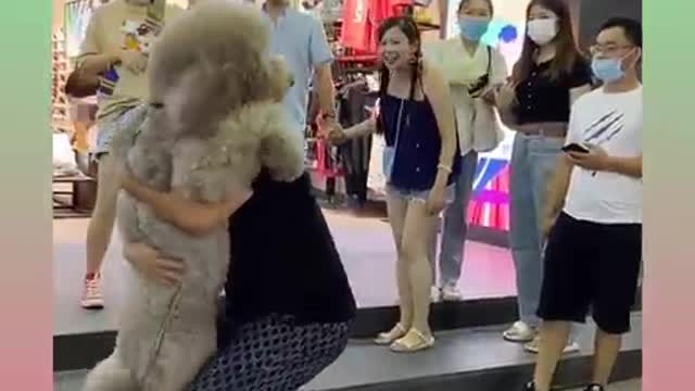 Funny and Cute Dog Video Compilation,🐕🐕_15 _#short