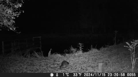 Teich 151124
