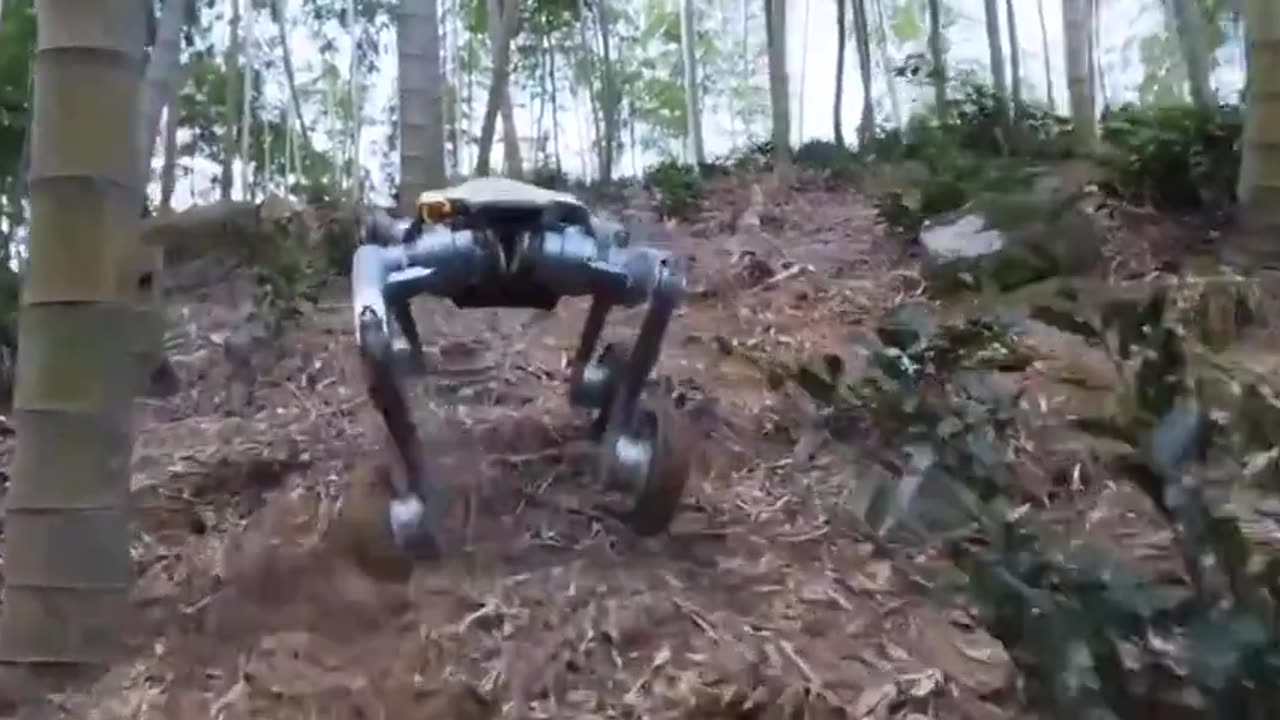 DEEP Robotics has announced a new model of a four-legged robot with wheels