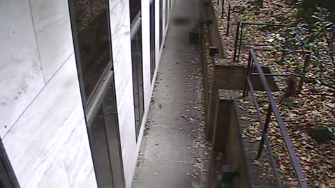 1457HSOB01GroundSoutheast_2021-01-06_10h41min03s987ms.mp4