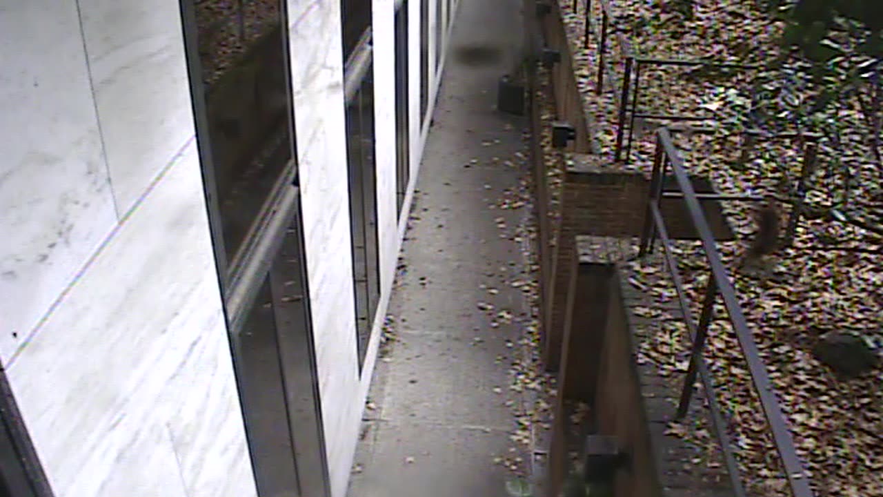 1457HSOB01GroundSoutheast_2021-01-06_10h41min03s987ms.mp4