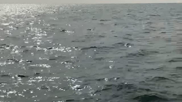 A Sea view