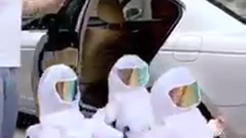 ملابس العيد Christmas clothes this year.