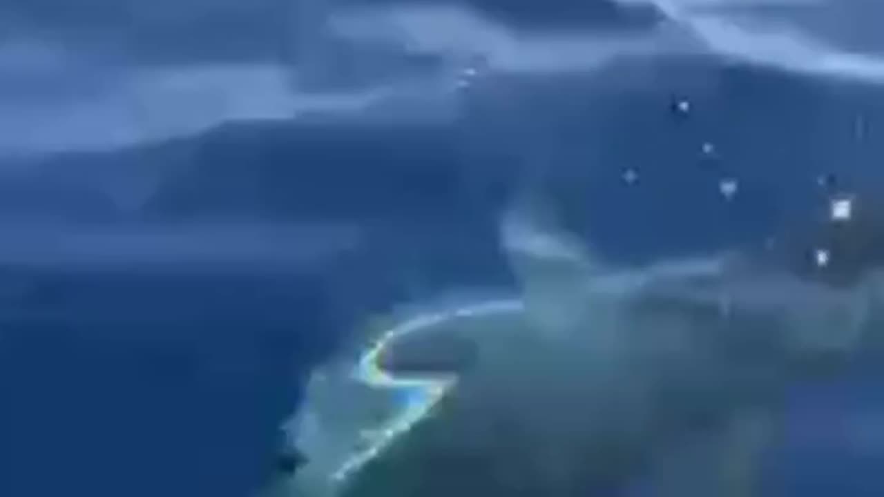 Wildlife