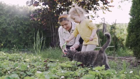 Cat and Family Cultivating !!