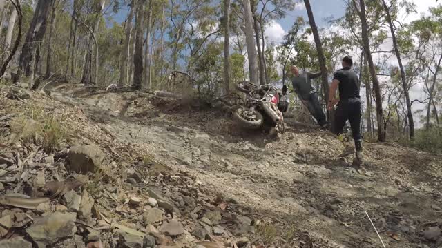 Adventure bike Fun (BMW 800f crash in a tree)