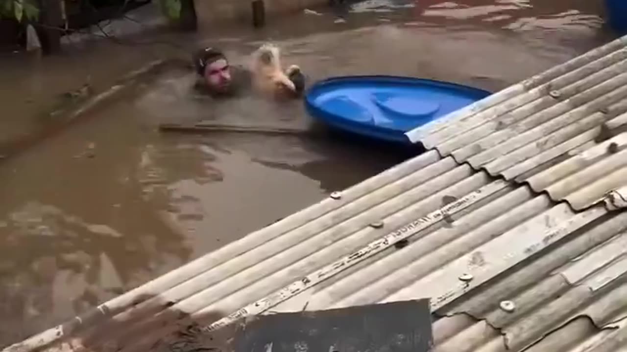 Real Men Rescue Dogs After Hurricanes 🙏