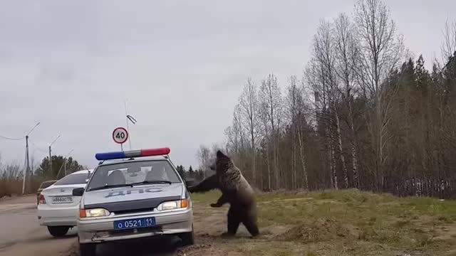 Meanwhile in RUSSIA 😂