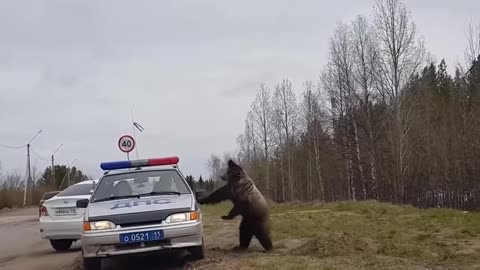 Meanwhile in RUSSIA 😂