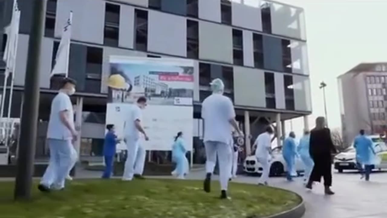🐒 lo zoo di Berlino 🐒