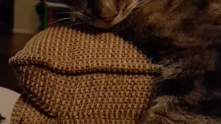 Copper plays finger fight
