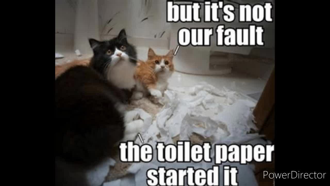 Laugh Your Head Off Toilet Paper Edition - Edited