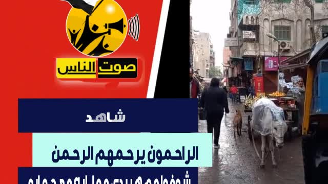 الراحمون يرحمهم الرحمن.. شوفوا عم هريدى عمل ايه مع حماره فى عز المطر