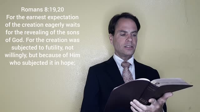 Original Sin: True or False - Quick & Clear Bible Study