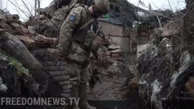 Ukrainian soldiers bring in freezing puppy to their post, name him Rambo