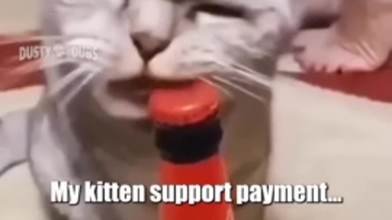 A Break from the News