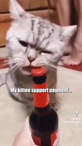 A Break from the News