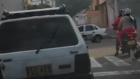 Video: Perrita fue abandonada por sus dueños en una calle de Bucaramanga