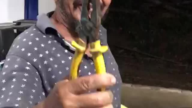 how to pull out a quick tooth