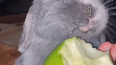 cute and naughty hhmm eating some delicious fruit