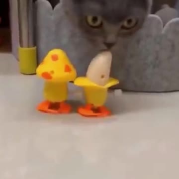 PETS NEVER LIE ABOUT LOVE-25 #shorts