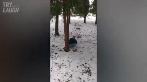 winter fun, crash in a tree