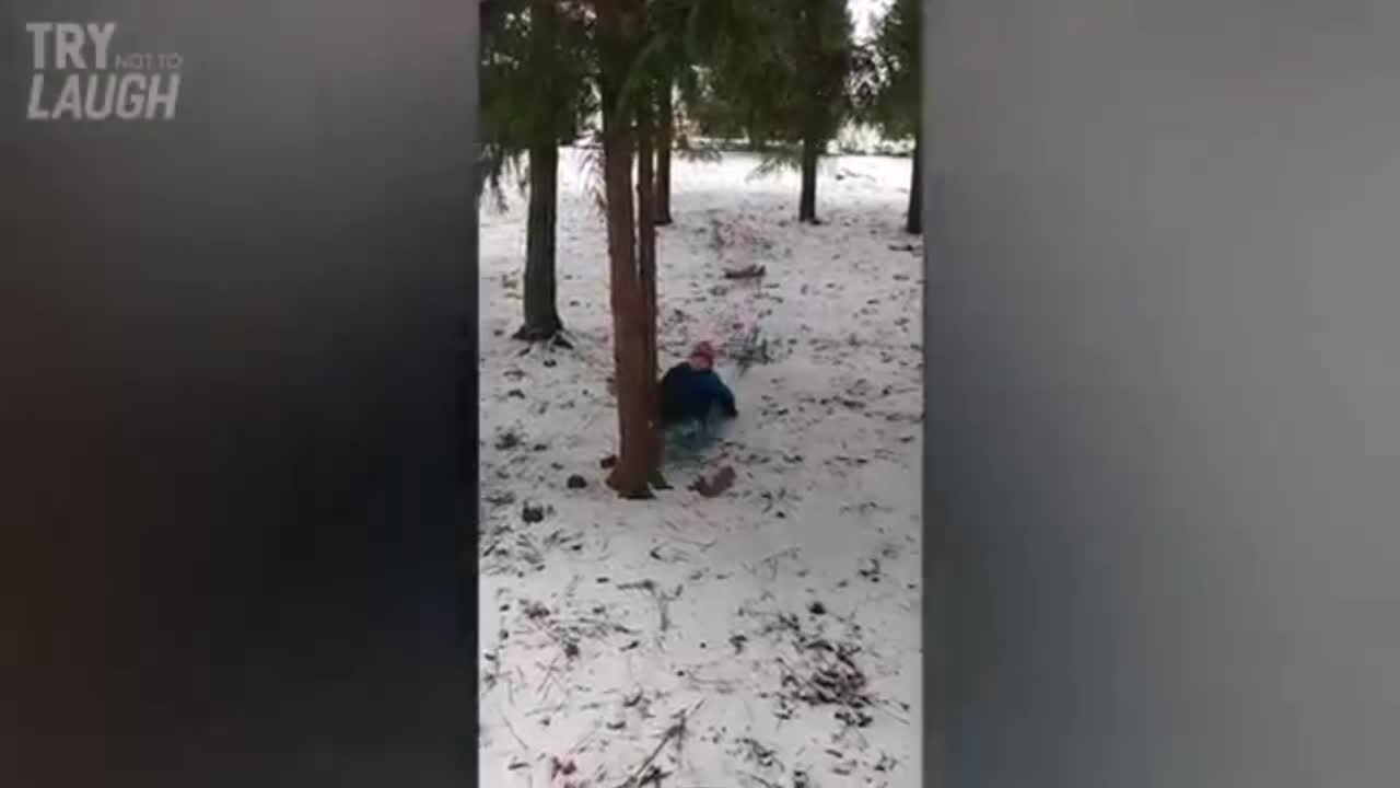 winter fun, crash in a tree